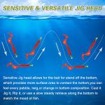 AGOOL Fishing Jig Heads Hooks Kit, 35/60pcs Fishing Lures Jig Heads with Ball Head Crappie Jig Heads Fishing Jig Hooks for Bass Trout Soft Worm Shrimp Lures Freshwater Saltwater