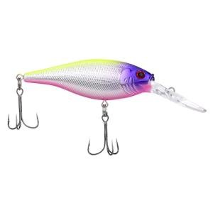 Berkley Flicker Shad Fishing Lure, Black Silver, 5/16 oz, 2 3/4in | 7cm Crankbaits, Size, Profile and Dive Depth Imitates Real Shad, Equipped with Fusion19 Hook