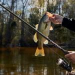 KastKing Brutus Fishing Rods, Spinning Rod 8ft -Medium Heavy - Fast-2pcs