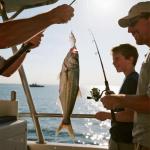 Fishing Lures Kit for Freshwater and Saltwater