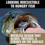 LUNKERHUNT Top Water Bass Fishing Lures Combo