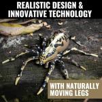 LUNKERHUNT Top Water Bass Fishing Lures Combo