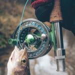 Kylebooker Fly Fishing Reel Large Arbor CNC-machined Aluminum Alloy Body Fly Reel（Silver with Green,5/6wt）