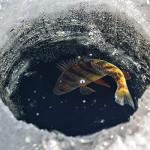 SF Ice Fishing Rod Cover with Elastic Band & Hanging Ring(6Colors-6PCS)