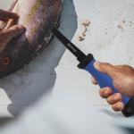 Queego Fillet Knife, 7 Inches Professional Filet Knife for Fish, German G4116 Stainless Steel Blade Fishing Knifes with Two Stage Knife Sharpener,Non-Slip Handles, Protective Nylon Sheath