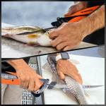 KastKing Speed Demon Electric Fillet Knife 110V