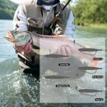 Pristis 35 pcs Paddle Tail Swimbaits, 3 inchs Fishing Soft Lures for Bass Crappie Trout, Durable Plastic Sinking Bait Swimmer Kit for Saltwater Freshwater Texas Carolina Fitness Rig, American Shad