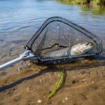 Yeahmart Fishing Net Minnow Nets with Aluminum Collapsible Telescopic Fishing Pole Handle and Nylon Mesh, Small Fishing Landing Net for Saltwater Freshwater, Extends to 21 inch (Fixed Handle)