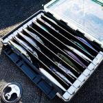Evolution Fishing BallistiX Twitch Tackle Tray - Waterproof, Jerkbait & Topwater Tackle Storage Box, Anti-Corrosion, One Hand Latch, Clear Lid, Lure Box
