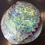 Otominat Fishing Stick Baits Popper Plugs Abalone Shell Stick Baits GT Popper with 5X Treble Hooks Topwater Wooden Tuna Trolling Floating Pencil Lure Fishing Artificial Hard Bait Saltwater (2.29oz)