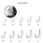 AMHDV 300Pcs/ 500Pcs/ 1000Pcs Small Fishing Hooks, 10 Different Sizes Tiny Fish Hook Set for Freshwater (1000pcs (2# to 20#))