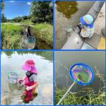 Fishing Nets 2 Pack Retractable Lightweight Landing Nets Stainless Steel Fishing Rod Handles Children's Fishing Nets for Catching and Releasing Fish and Shrimp Frog Nets