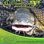 LUCKYFISHING Circle Hooks Catfish Hooks Circle Hooks for Saltwater Freshwater Offset Octopus Hooks 1/0-100PCS