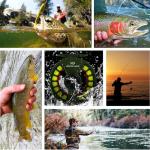 MASTER LOGIC Fly Fishing Reel 5/6wt - Aluminum Alloy Fly Reel with Pre-Loaded Yellow Line Combo, Durable Lightweight Design for Freshwater/Saltwater(Matte Gray)