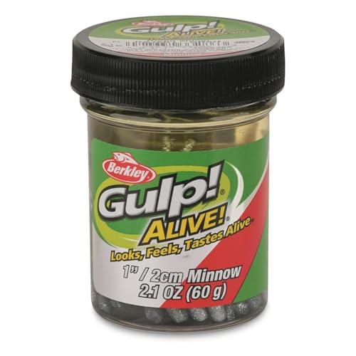 Berkley Gulp! Alive! Minnow Fishing Bait, Green Shiner, 1in, Extreme Scent Dispersion, Realistic Minnow Profile, Ideal for Bass, Trout, Walleye, Panfish and More