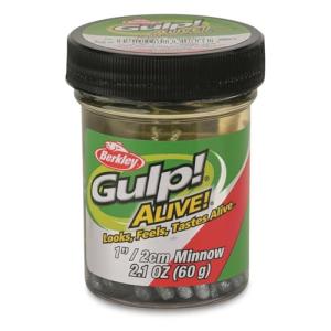 Berkley Gulp! Alive! Minnow Fishing Bait, Green Shiner, 1in, Extreme Scent Dispersion, Realistic Minnow Profile, Ideal for Bass, Trout, Walleye, Panfish and More