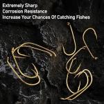 Dr.Fish 100 Pack Baitholder Hooks, Freshwater Fishing Hooks Gold, Offset, for Walleye Rigs, Crawler Harness, Trout/Bass/Crappie/Blugill/Panfish #8