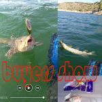 PROBEROS Fishing Lures Spoons Metal Casting Fishing Spoon Bass Hard Lure Blade Fish Baits Set Gold Silver