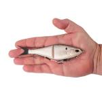 Berkley PowerBait Chop Block Fishing Soft Bait