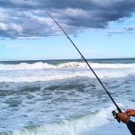 Whistytwig Carbon Fiber Telescopic Fishing Rod - Easy Travel & Storage - Collapsible Telescoping Design - Ideal for Saltwater & Freshwater - Lightweight Portable Fishing Pole (Midnight 3.36m)