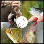 FishTrip 50pcs EWG Fishing Hooks, Bass Fishing Hooks, Offset Worm Hooks, Texas Rig Hooks, Live Bait Hooks, Size 1/0