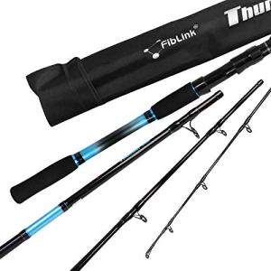 Fiblink 4-Piece 7-Feet Carbon Fiber Boat Fishing Rod Spinning Travel Portable Rod Tournament Fishing Pole for Fresh & Saltwater(Spinning-Blue-H)