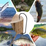 Natufish 60 Degree Jig Hooks 25Pcs Inline Jig Hook,Fishing Long Shank Hooks for Lure Making,Suitable for Freshwater and Saltwater Fishing 4/0