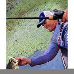 Shimano CURADO DC Low Profile Reels (CUDC150HG) Fishing