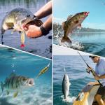 24-Piece Fishing Lure Kit Tackle Box Set - Premium Bass Lures Variety Pack with Poppers, Minnows, Frogs & Soft Baits - Freshwater Saltwater Gift for Men Dad Husband