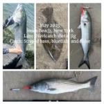 Navicatch Saltwater Fishing Lures Fishing Jigs Fishing Spoons for Striped bass, Pompano, Spanish Mackerel，Bluefish,Metal Jigging,Surf Fishing Jig, Multi-Color: Silver, Blue, Pink 3pcs. 2 1/8oz