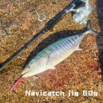 Navicatch Saltwater Fishing Lures Fishing Jigs Fishing Spoons for Striped bass, Pompano, Spanish Mackerel，Bluefish,Metal Jigging,Surf Fishing Jig, Multi-Color: Silver, Blue, Pink 3pcs. 2 1/8oz