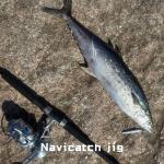 Navicatch Saltwater Fishing Lures Fishing Jigs Fishing Spoons for Striped bass, Pompano, Spanish Mackerel，Bluefish,Metal Jigging,Surf Fishing Jig, Multi-Color: Silver, Blue, Pink 3pcs. 2 1/8oz