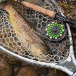 Redington Classic Trout Fly Reel – Lightweight Click-and-Pawl Trout Reel, Large Arbor, CNC Machined Aluminum – 4/5/6 – Silver