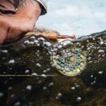 Redington Classic Trout Fly Reel – Lightweight Click-and-Pawl Trout Reel, Large Arbor, CNC Machined Aluminum – 4/5/6 – Silver