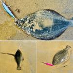 LITTMA California Surf Fishing Lures Saltwater Jerkbait Crankbait Surf Minnow 110 - Metallic Sardine Super Glow & Pearl Pink Belly Glow Lures for Halibut & Striper Fishing