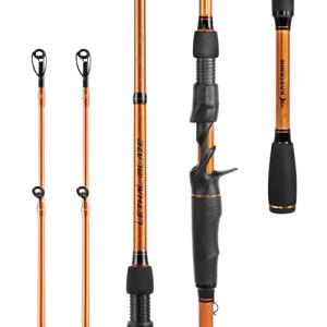 KastKing Lethal Blaze Twin-Tip Fishing Rods, IM6 Graphite Blanks Casting & Spinning Rods, 2-Piece Rod with Extra Tip, PTS Power Transition System, Ideal for Bass, Freshwater & Inshore Fishing