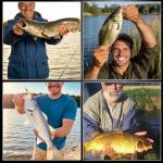 FishTrip 100 Pack Aberdeen Fishing Hooks Freshwater, Long Shank Light Wire Worm Hooks - Live Bait Hooks for Sunfish Bass Trout Crappie Bream Panfish Bluegill Size 10