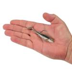 Berkley PowerBait Pre-Rigged Minnotator Fishing Bait, HD Blacknose Shiner, 3.5 in, Irresistible Scent & Flavor, Realistic Profile, Ready-to-Fish, Ideal for Bass, Crappie, Pike and More