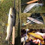 M MAXIMUMCATCH Maxcatch Performance Nymph Fly Fishing Rod in 2/3/4wt: 10ft/11ft, IM10 Carbon, AAA Cork Handle, Rod Tube and Combo Set Available (4weight 10ft 4piece)