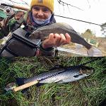 M MAXIMUMCATCH Maxcatch Performance Nymph Fly Fishing Rod in 2/3/4wt: 10ft/11ft, IM10 Carbon, AAA Cork Handle, Rod Tube and Combo Set Available (4weight 10ft 4piece)