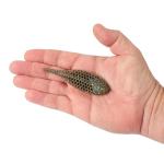 Berkley PowerBait MaxScent Flux-Gill Fishing Soft Bait