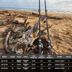 Fiblink Surf Spinning Fishing Rod 4-Piece Graphite Travel Fishing Rod(11-Feet & 13-Feet & 15-Feet) (Length: 15')