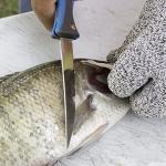 Smith's 51386 RegalRiver 4-Inch Folding Flex Fillet Knife – Blue – Stainless Steel Locking Blade – Pocket Knife – Fisherman Accessory – Carabiner – Portable – Fish Cleaning & Deboning