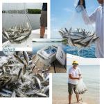 KescherAb Cast Net 3ft-8ft Radius American Monofilament Fishing Net 3/8 Mesh Fish Throw Net for Bait Trap, Casting Net with Heavy Duty Sinker, Professional Grade Saltwater Bait Fish