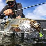 KastKing Destron Essential Monofilament Fishing Line, Midnight Camo, 10LB, 300 yds