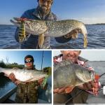 6PCS Fishing Lures for Freshwater and Saltwater, Slow Sinking Segmented Lifelike Multi Jointed Swimbait for Bass Trout Crappie Walleye Pike (New Version)