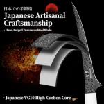 DRGSKL Damascus Fillet Knife 7 Inch - VG10 Razor Sharp Slicing Knife for Fish and Meat Trimming - Japanese G10 Handle - with Gift Box