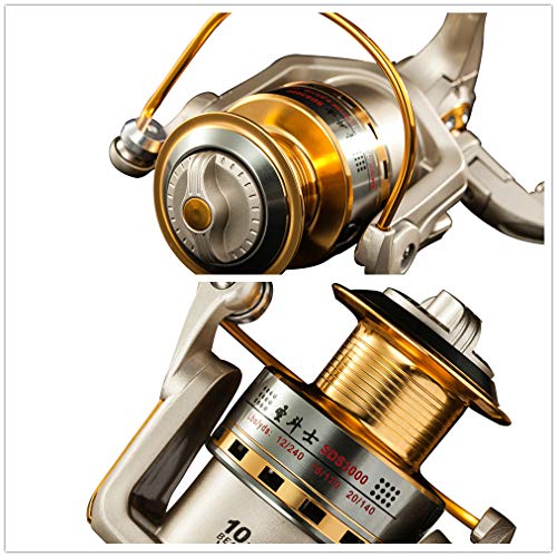 Diwa Spinning Reels: Saltwater & Freshwater Fishing