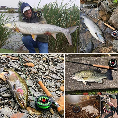 Maxcatch Tino Fly Fishing Reel Combo