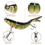 Rose Kuli Multi-Jointed Fishing Lures Kit